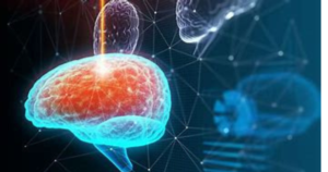 Read more about the article Scientists Grow Mini Brains in a Lab – Here’s Why!”