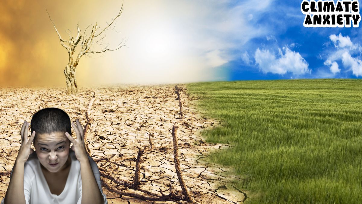 Read more about the article Children and Climate Anxiety: How Young Voices Are Demanding a Greener Future