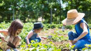 Read more about the article Village in Tamil Nadu Lights Up Minds with Evening Reading Tents for Kids