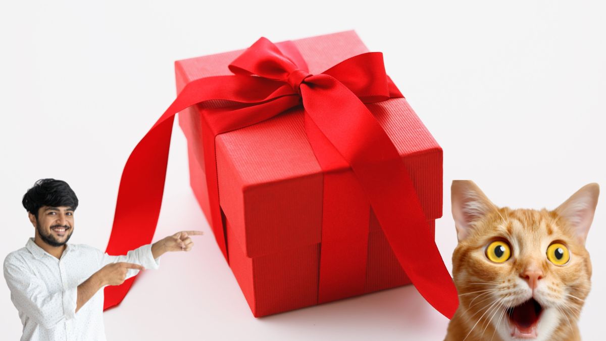 Read more about the article The Blind-Box Toy Craze: Why Mystery Toys Are Driving Kids Wild