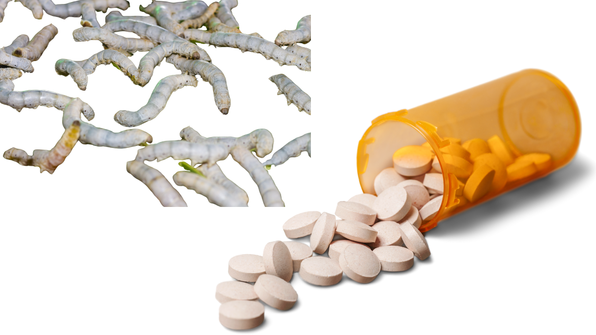 Read more about the article Deworming Pills for Schoolchildren Halted in Madhya Pradesh Over Quality Concerns