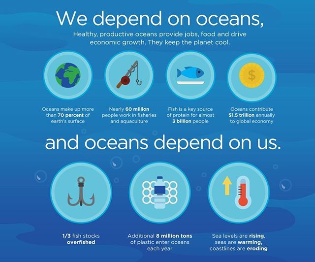 Read more about the article Why Oceans Are Important and How Scientists Are Protecting Them