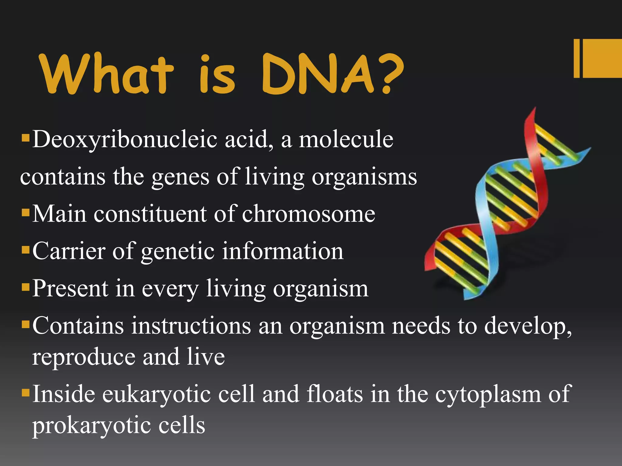 Read more about the article What Is DNA and Why It Makes Every Living Thing Unique
