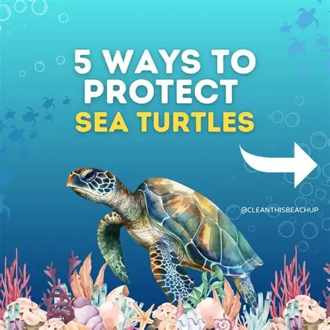 You are currently viewing Why Sea Turtles Are Special and How We Can Protect Them