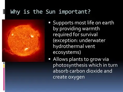 You are currently viewing Why the Sun Is Important and How It Supports Life on Earth