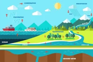 Read more about the article What Is the Water Cycle and How Rain Comes Back Again