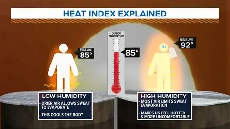 You are currently viewing What Is Temperature and Why Do Some Places Feel Hot or Cold