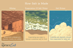 Read more about the article Why Salt Is Important and How It Is Made
