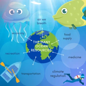 Read more about the article Why Oceans Are Important and How They Support Life on Earth