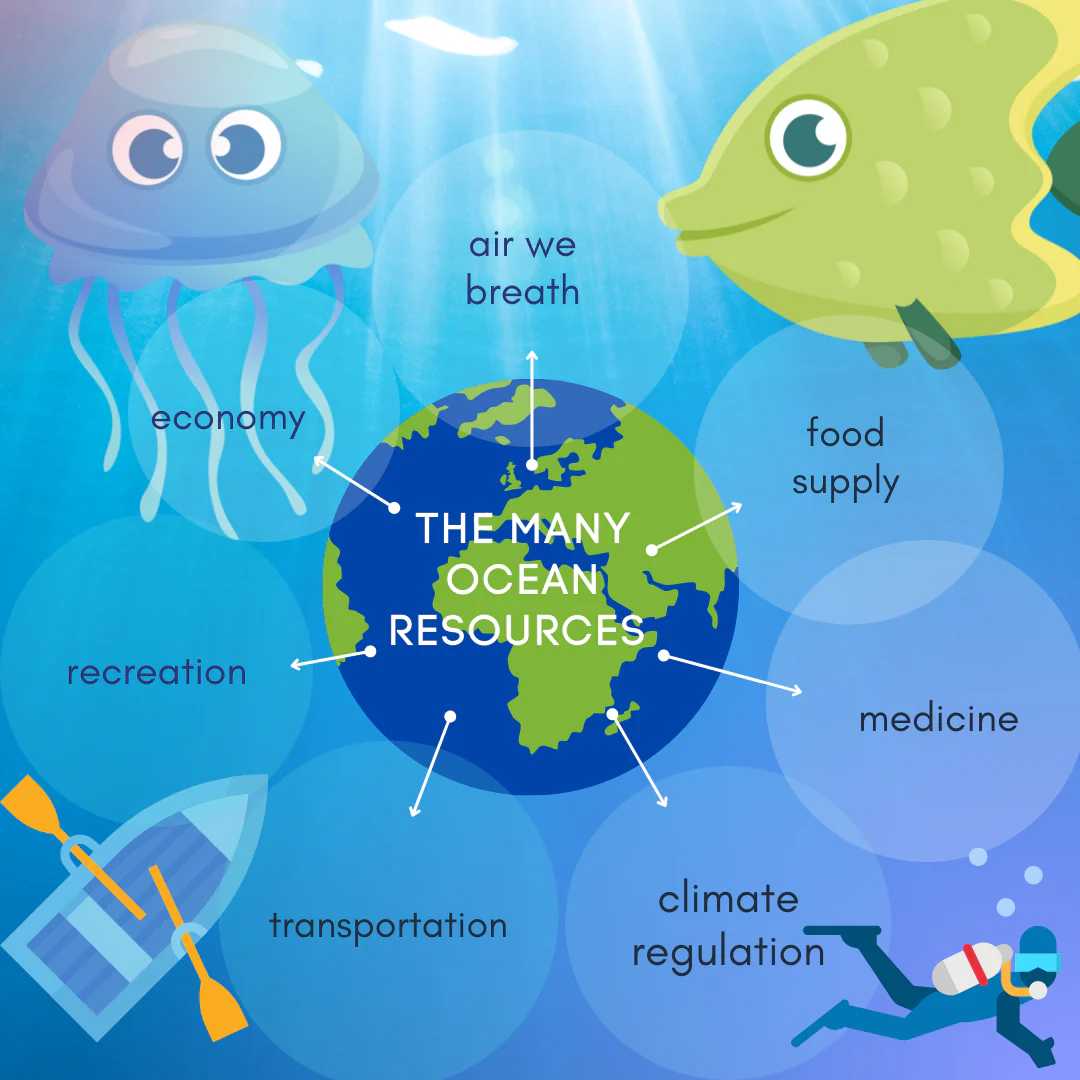 Read more about the article Why Oceans Are Important and How They Support Life on Earth