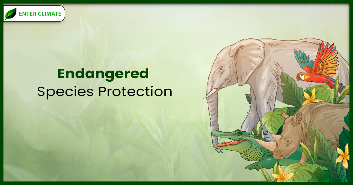 Read more about the article Wildlife Experts Explain Why Protecting Endangered Animals Is Important