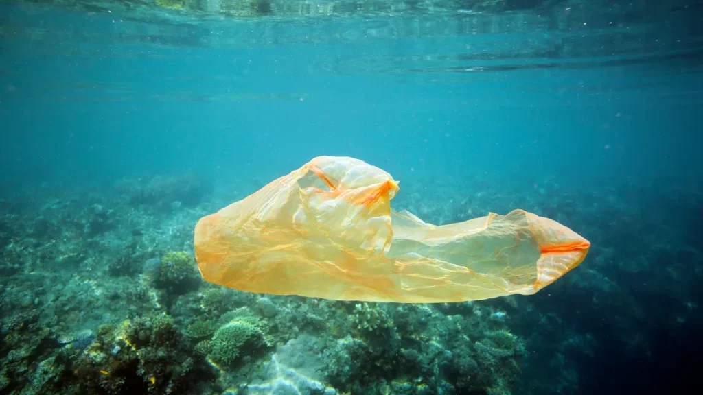 Read more about the article Scientists Study How Reducing Plastic Use Protects Oceans