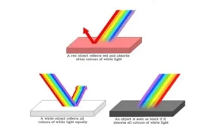Read more about the article Why We See Colours and How Light Creates Them