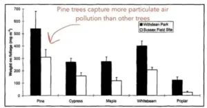 Read more about the article Scientists Study How Trees Improve Air Quality