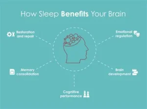 Read more about the article Scientists Study How Sleep Helps the Brain Grow