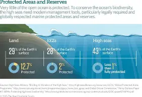 Read more about the article Countries Agree to Protect Ocean Life