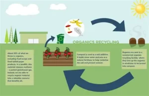 Read more about the article Scientists Explain How Recycling Helps Save Natural Resources