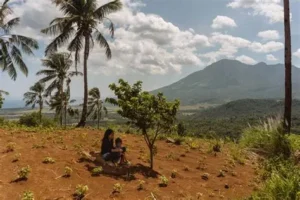 Read more about the article Climate Experts Explain How Planting Trees Helps Fight Climate Change