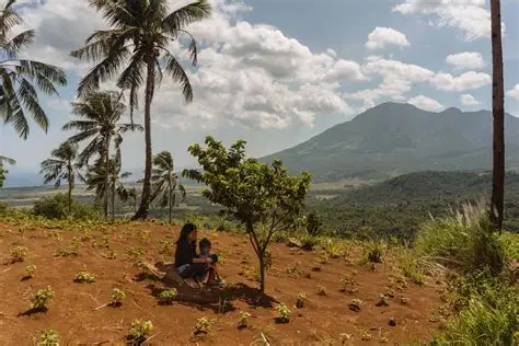 You are currently viewing Climate Experts Explain How Planting Trees Helps Fight Climate Change