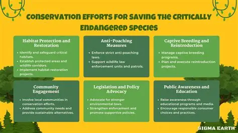You are currently viewing Efforts Increase to Protect Endangered Animals