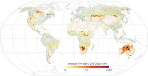 Read more about the article Scientists Track Increase in Wildfires Around the World