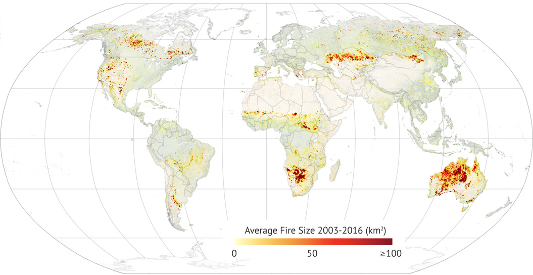 Read more about the article Scientists Track Increase in Wildfires Around the World