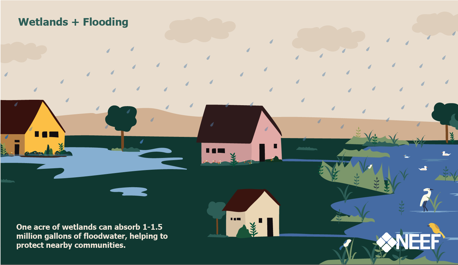 You are currently viewing Scientists Study How Protecting Rivers Helps Prevent Floods