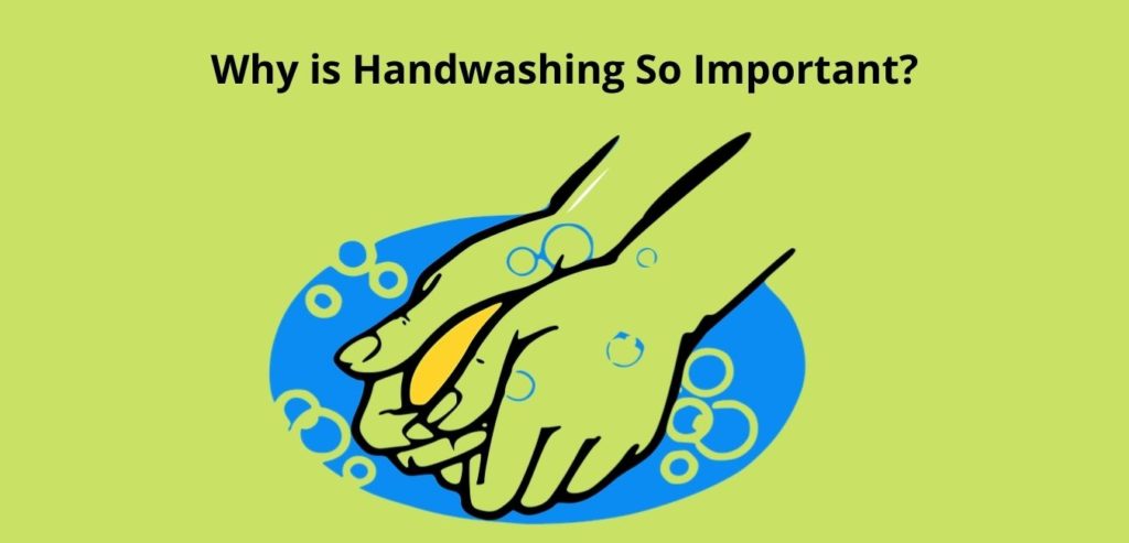 Read more about the article Scientists Explain Why Handwashing Prevents Disease