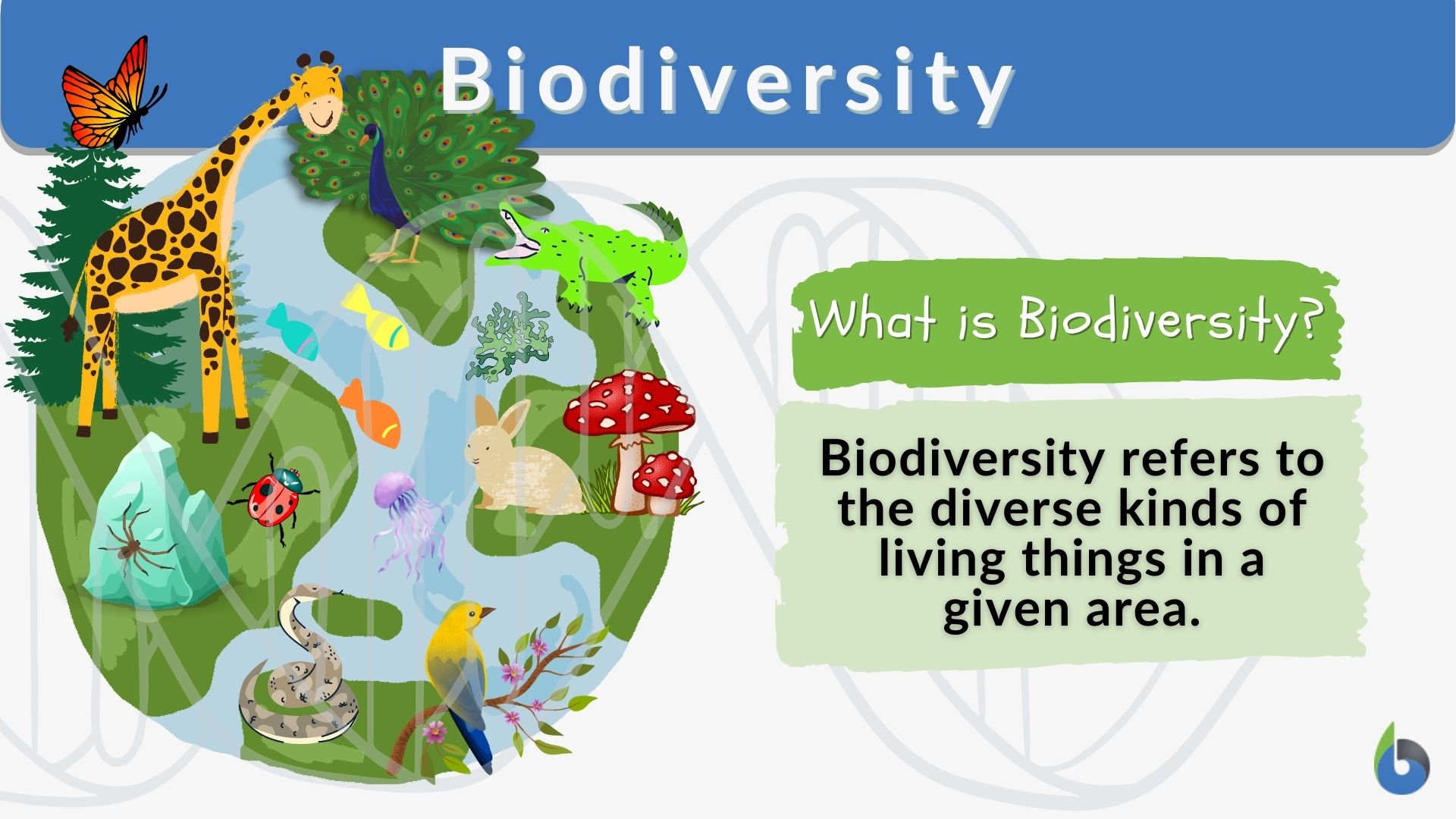 You are currently viewing What Is Biodiversity and Why Every Living Thing Matters