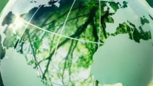 Read more about the article Scientists Study How Planting Trees Helps Fight Climate Change