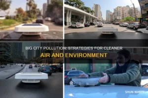 Read more about the article Nations Work to Reduce Air Pollution in Big Cities