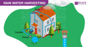 Read more about the article Scientists Study How Rainwater Harvesting Helps Save Water