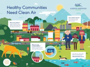 Read more about the article Environmental Experts Explain Why Clean Air Is Important for Healthy Living