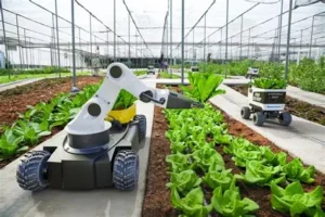 Engineers Design Farming Robots to Help Grow Food More Efficiently
