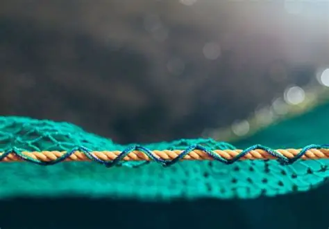 You are currently viewing Scientists Develop Biodegradable Fishing Nets to Protect Ocean Life