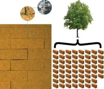 You are currently viewing Scientists Develop Bio-Bricks Made From Bacteria for Eco-Friendly Construction
