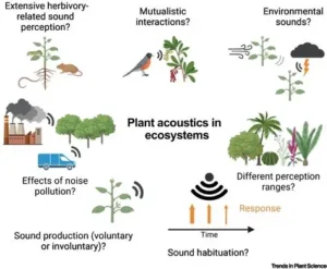 Read more about the article Scientists Develop Sound Barriers Made From Plants to Reduce Noise Pollution