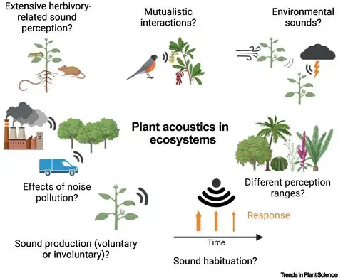 You are currently viewing Scientists Develop Sound Barriers Made From Plants to Reduce Noise Pollution