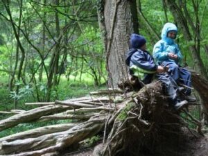 Read more about the article Scientists Study How Outdoor Play Improves Children’s Brain Development