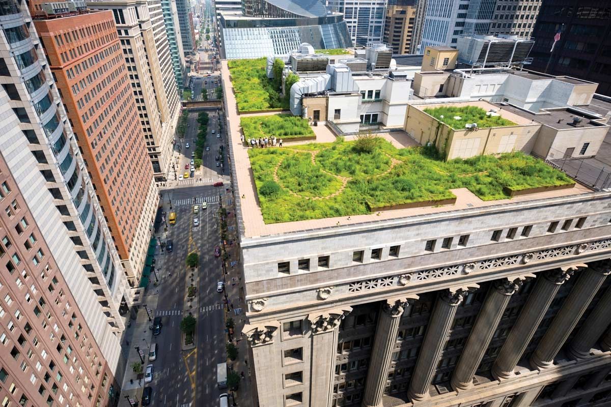 Read more about the article Cities Build Green Roofs to Reduce Heat and Pollution