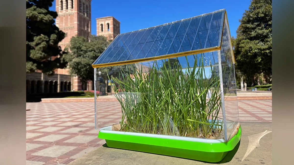 You are currently viewing Scientists Develop Living Roof Tiles That Grow Plants Automatically