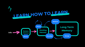 Read more about the article Using Spaced Revision Helps Students Remember Longer
