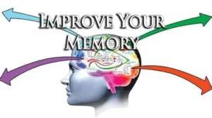 Read more about the article Reviewing Lessons Within 24 Hours Improves Memory