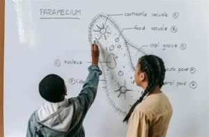 Read more about the article Using Examples Helps Students Understand Concepts Easily