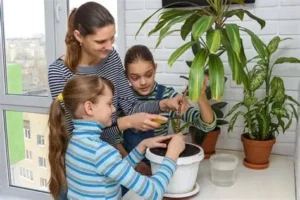 Read more about the article Growing Plants at Home Helps Students Understand the Importance of Nature