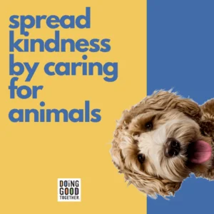 Protecting Animals Helps Students Learn Kindness and Responsibility