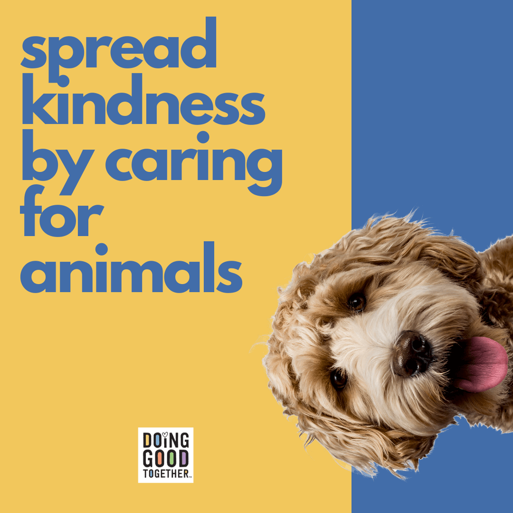 Protecting Animals Helps Students Learn Kindness and Responsibility