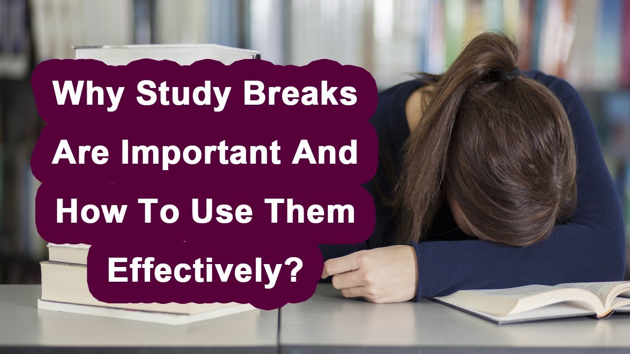 Read more about the article Avoiding Unnecessary Breaks Helps Students Stay Concentrated