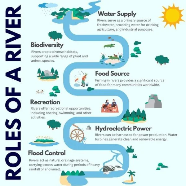 Read more about the article Scientists Explain How Clean Rivers Support Healthy Ecosystems