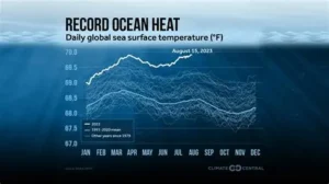 Read more about the article Scientists Study How Healthy Oceans Support Weather and Climate